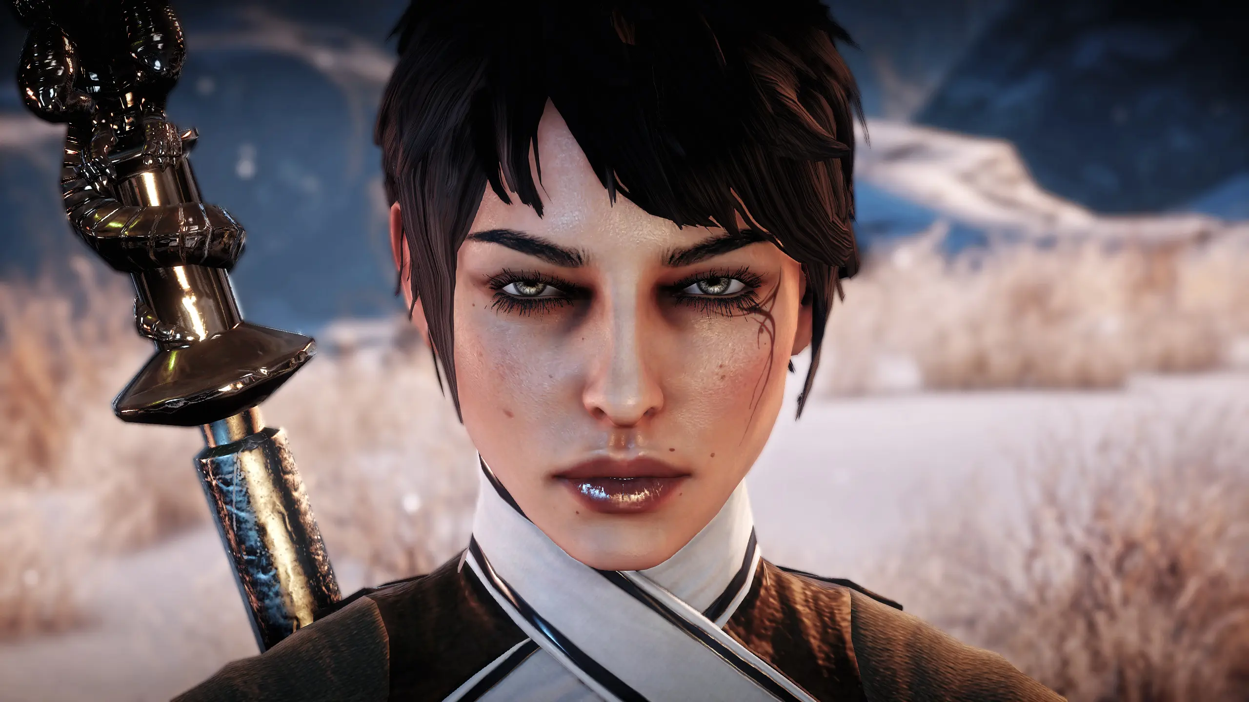 Dragon age 2 Inquisition