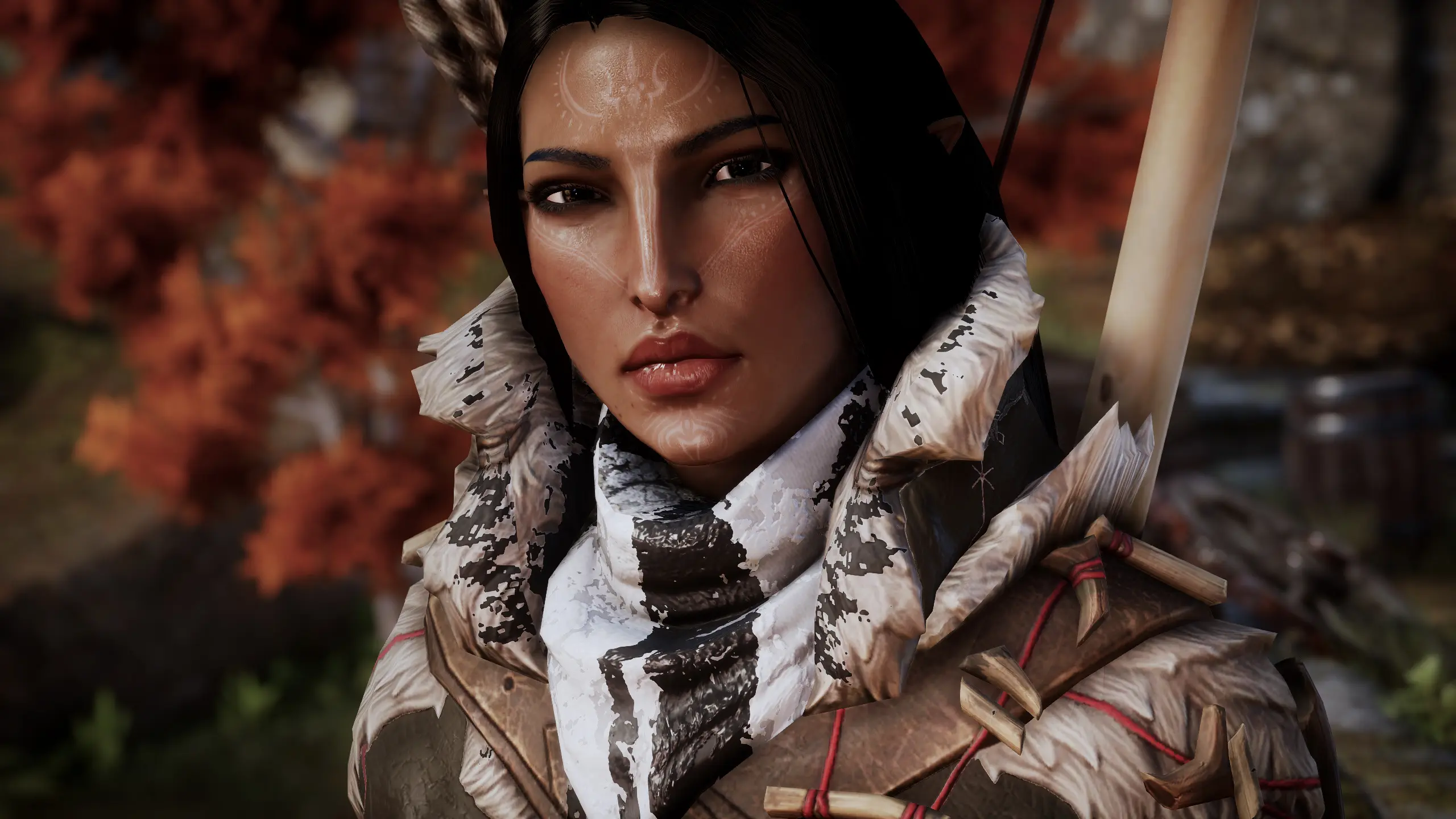 where to install dragon age inquisition mods