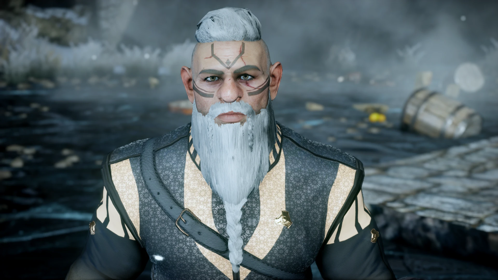 DF beard into braid at Dragon Age: Inquisition Nexus - Mods and community