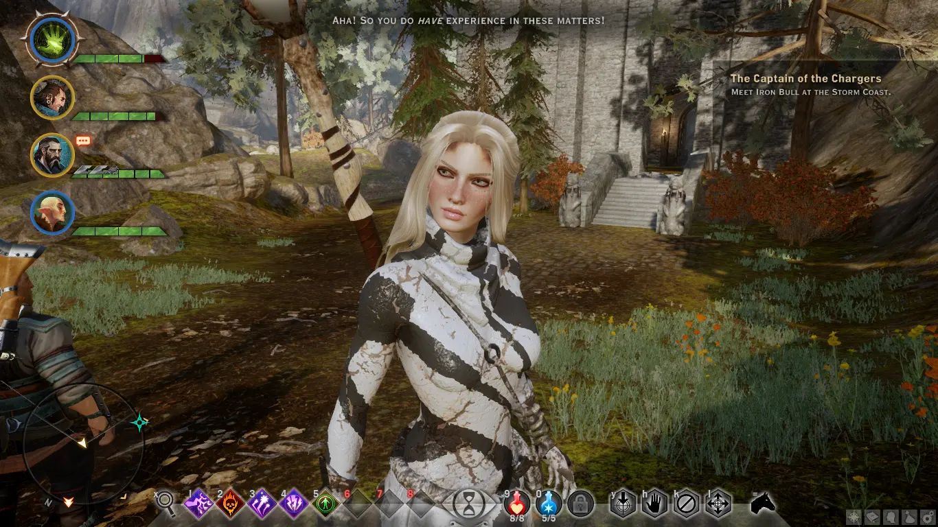 Misc Hairstyles for Frosty at Dragon Age: Inquisition Nexus - Mods and ...