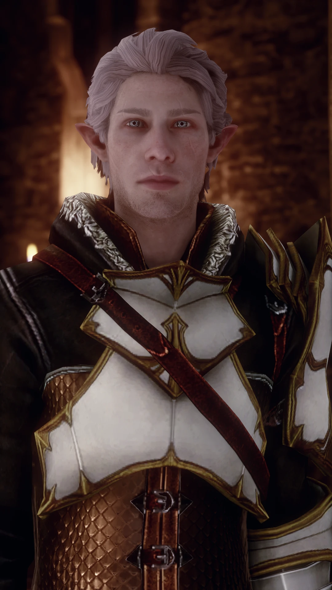 Prologue and PJ Replacer for Elf Male at Dragon Age: Inquisition Nexus ...