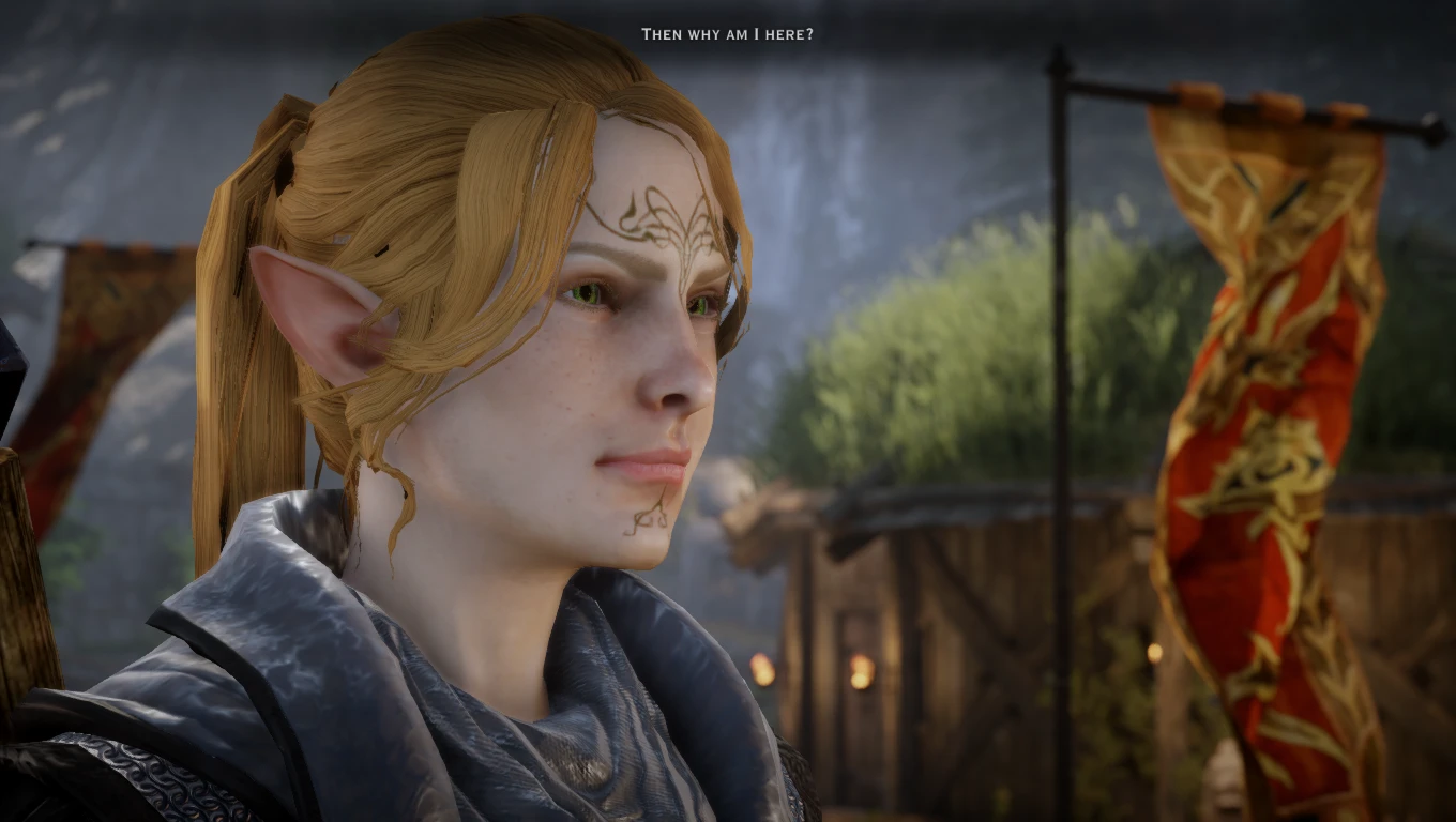 Iona Lavellan sliders at Dragon Age: Inquisition Nexus - Mods and community
