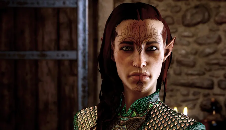 Disheveled Side Braid for Male Elves at Dragon Age: Inquisition Nexus ...