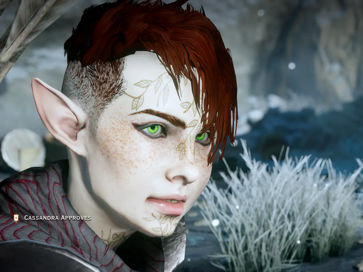 Dragon age Inquisition эльфы