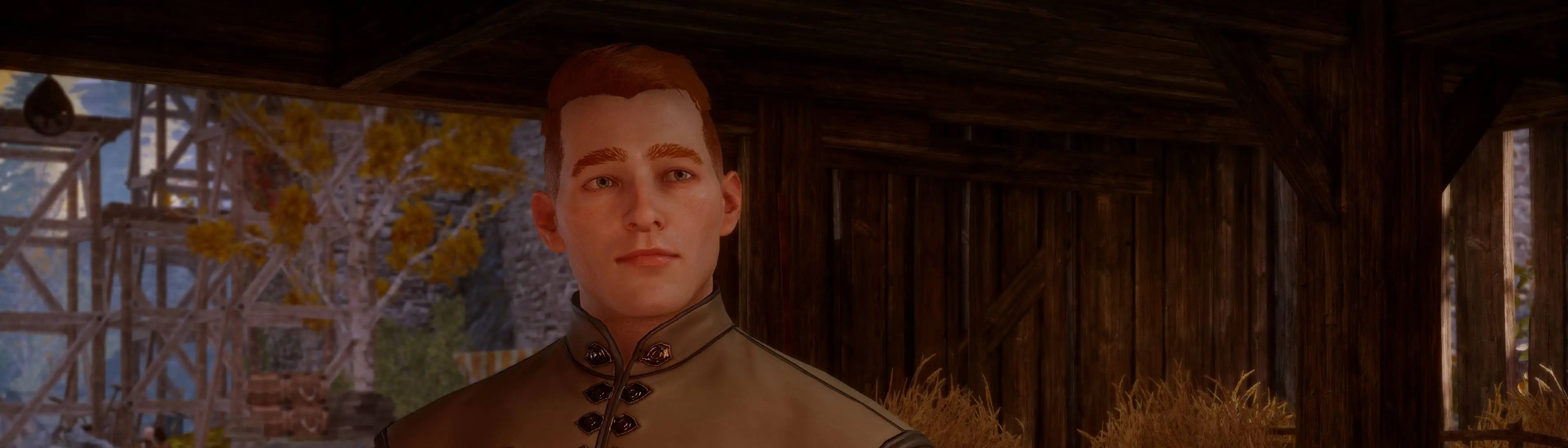 Elowyn Trevelyan - Human Male Sliders (No Mods) at Dragon Age ...