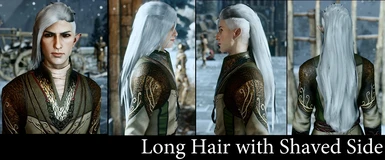 long hair with shaved side elf male
