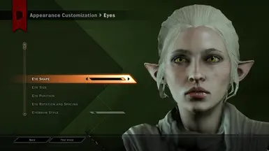 Cute and Pretty Female Dalish Elf Rogue at Dragon Age: Inquisition ...