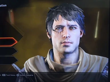 dragon age inquisition good looking male
