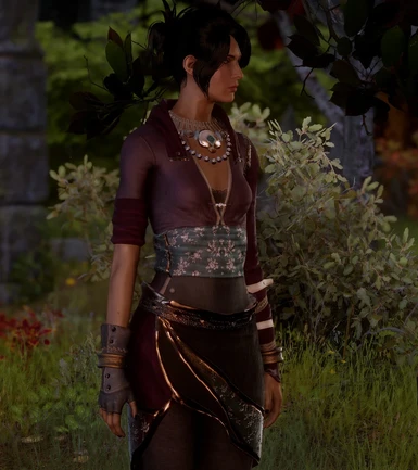 The Core of her Heart - A Morrigan Mod at Dragon Age: Inquisition Nexus -  Mods and community
