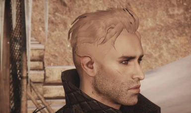 Disheveled Undercut for HM at Dragon Age: Inquisition Nexus - Mods and  community