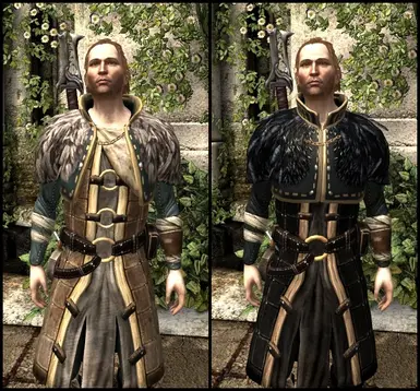 Renegade's Coat at Dragon Age: Inquisition Nexus - Mods and community