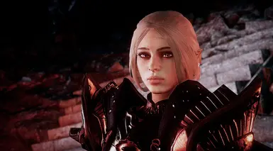 SOS Brows on Fleek at Dragon Age: Inquisition Nexus - Mods and community