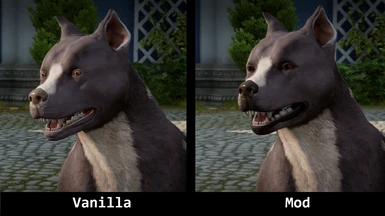 Improved mabari texture and recolors