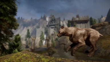 some flying wild Barkspawn to share my deep appreciation for this mod <3