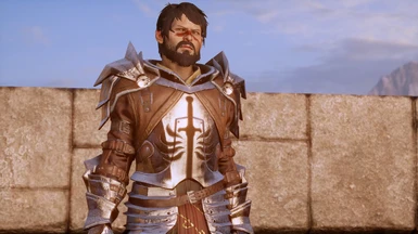 Male warrior wears Templar heavy armor