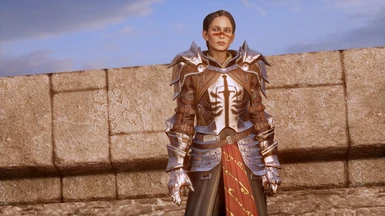 Female warrior wears Templar heavy armor