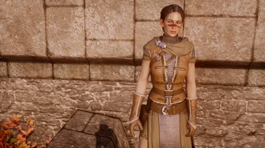 Female Hawke wears Fereldan Adventurer Armor