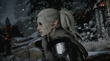CaffeinePainters NCP Hairstyles for Inquisitor