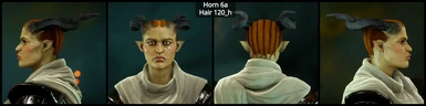 It Replaces this hair for Qunari