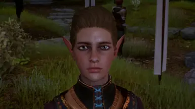 Visibly Elf Blooded Kieran - My warden version + Green eyes