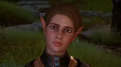 Visibly Elf Blooded Kieran - My warden version - Vanilla hair + Brown eyes