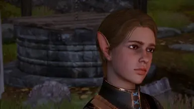 Visibly Elf Blooded Kieran - My warden version - Vanilla hair + Brown eyes