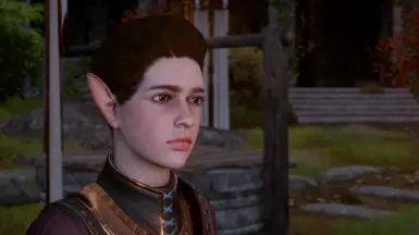 Visibly Elf Blooded Kieran - My warden version - Vanilla Colors + Brown eyes