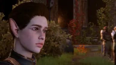 Visibly Elf Blooded Kieran - My warden version - Vanilla Colors + Brown eyes