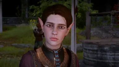 Visibly Elf Blooded Kieran - My warden version - Vanilla Colors - Vanilla Hair