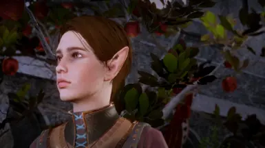 Visibly Elf Blooded Kieran - My warden version - Vanilla Colors - Vanilla Hair