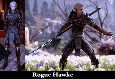 Rogue Hawke