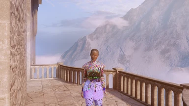 weird glitch when used as Skyhold PJ, goes away after a minute or so