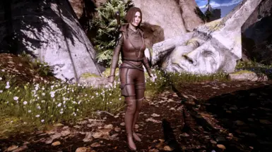 Armour Neutral Tinted