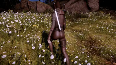 Armour Neutral Tinted