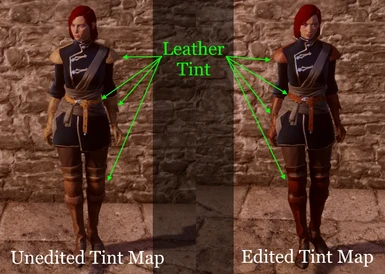 Formal Tint Map Comparison