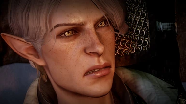 Feyrion Lavellan Sliders at Dragon Age: Inquisition Nexus - Mods and ...