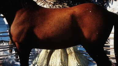 Equusition - Horse Textures