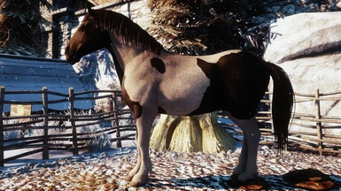 Optional File: Coloured Mane and Tail for Dalish All-Bred V1