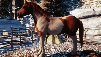 Optional File: Coloured Mane and Tail for Dalish All-Bred V2