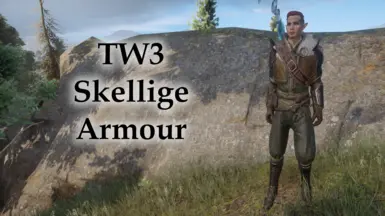 TW3 Skellige Armour