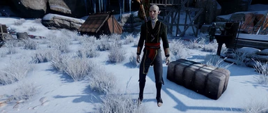 Rising Wolf - Solas Outfit Retexture