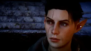 Male Lavellan