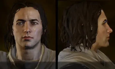 WANTED - Inquisitor Travelyan for greasy but fashionable hairstyle (Vanilla texture)