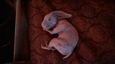 &lt;3