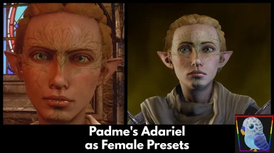 Padmes Adariel as Female Presets