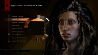 Eyebrow Colour Presets
