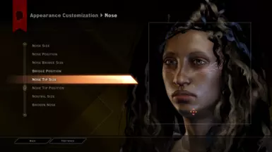 Nose Tip Size