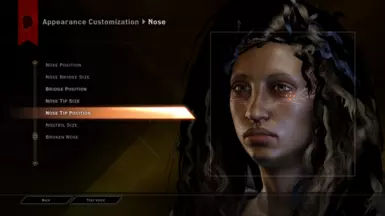 Nose Tip Position