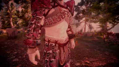 Armor Chest and Arm Details