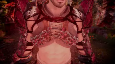Armor Chest Details